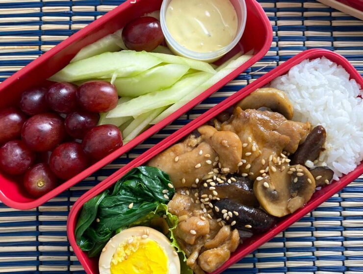 Pique Bento Box with Energy Bites.